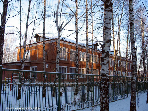 Карабановский Детский Дом в Александровском районе Владимирской области фото vgv