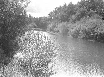 Река Суворощь около деревни Кошелиха 60-е годы 20-го века в Гороховецком районе Владимирской области фото vgv