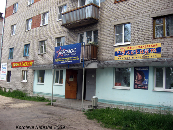 Зоомагазин в Гусевском районе Владимирской области фото vgv