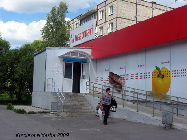Магазин Квартал на Транспортной 14 в Гусевском районе Владимирской области фото vgv