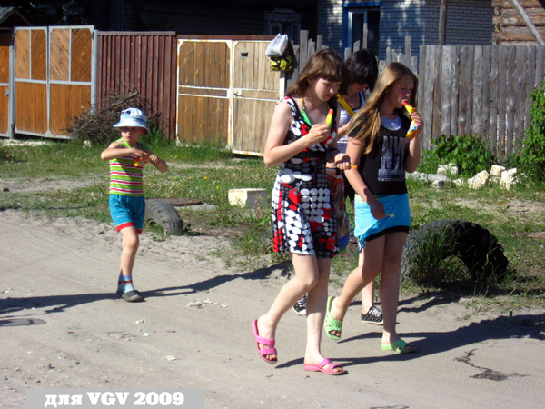 Лето и мороженое в Гусевском районе Владимирской области фото vgv