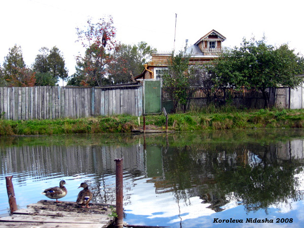 пруд на Калинина в Камешковском районе Владимирской области фото vgv