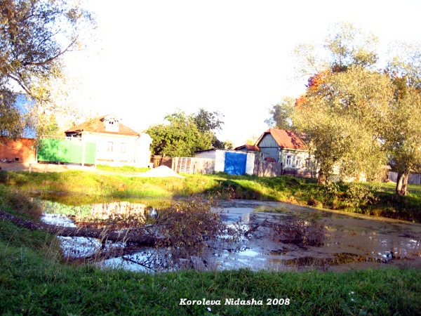 пруд на ул. Коруновой в Камешковском районе Владимирской области фото vgv