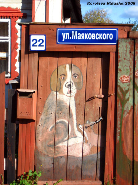 Заборная живопись в Камешковском районе Владимирской области фото vgv