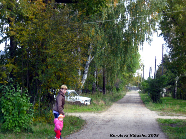 город Камешково Пугина улица в Камешковском районе Владимирской области фото vgv