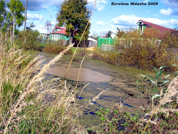 пруд на 2 Большом переулке в Камешковском районе Владимирской области фото vgv