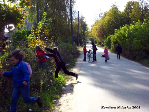 Школьники в Камешковском районе Владимирской области фото vgv