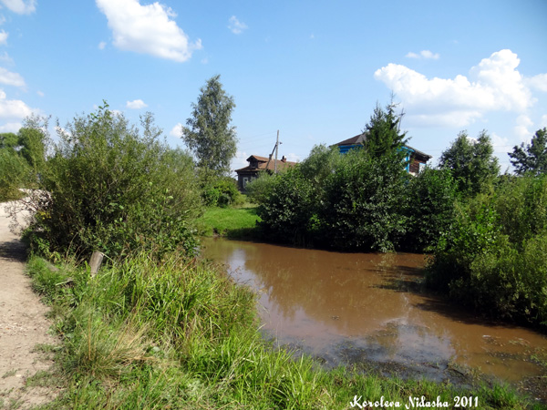 Река Секша у села Тынцы в Камешковском районе Владимирской области фото vgv