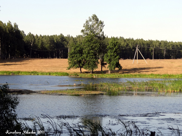 Река тальша в окрестностях деревни Харламово в Камешковском районе Владимирской области фото vgv