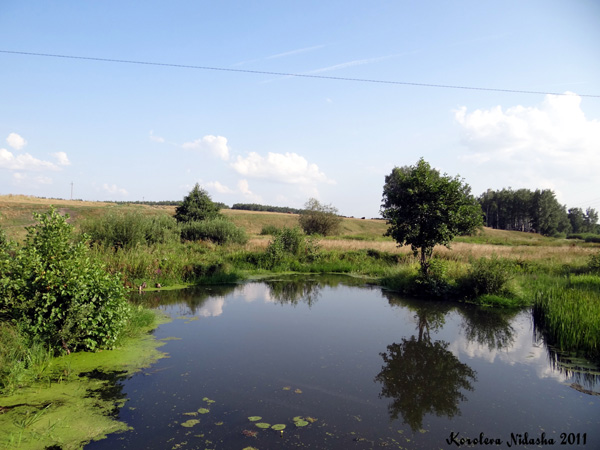 река Тольша в Камешковском районе Владимирской области фото vgv
