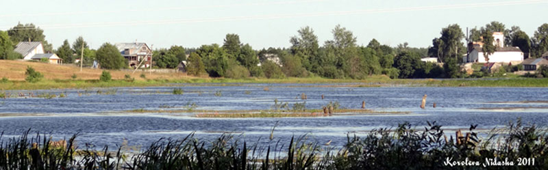 Река Тальша в окрестностях деревни Вакурино в Камешковском районе Владимирской области фото vgv