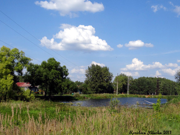 Река Тальша в Камешковском районе Владимирской области фото vgv