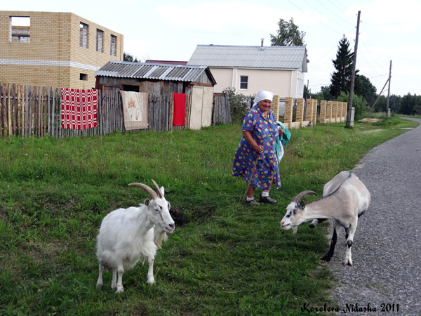 Бабушка и козы в деревне Городок в Камешковском районе Владимирской области фото vgv
