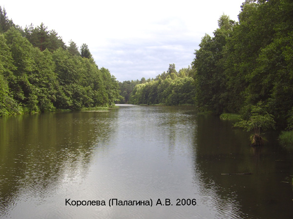 река Грезинка с плотиной в Камешковском районе Владимирской области фото vgv