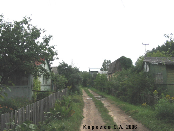 Коллективный сад Грезино в Камешковском районе Владимирской области фото vgv