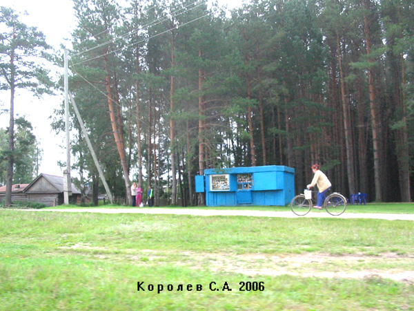 Коллективный сад Грезино в Камешковском районе Владимирской области фото vgv