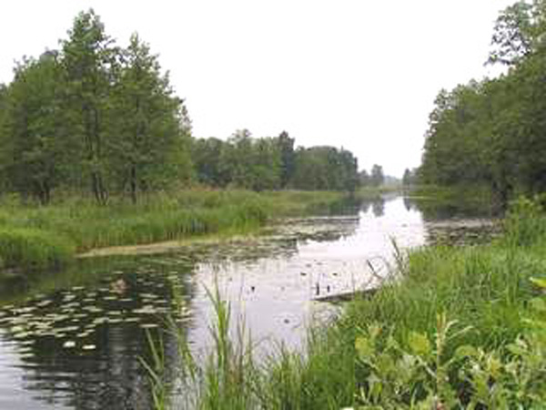 озеро Рассоха в Давыдовской пойме в Камешковском районе Владимирской области фото vgv