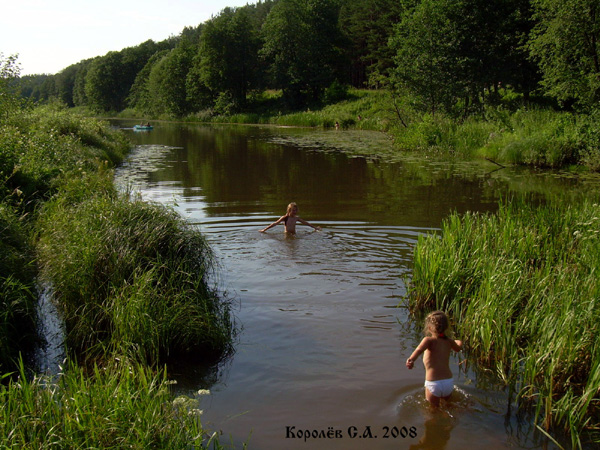 озеро у деревни Кижаны в Камешковском районе Владимирской области фото vgv