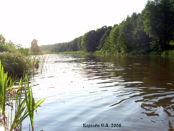 озеро у деревни Кижаны в Камешковском районе Владимирской области фото vgv