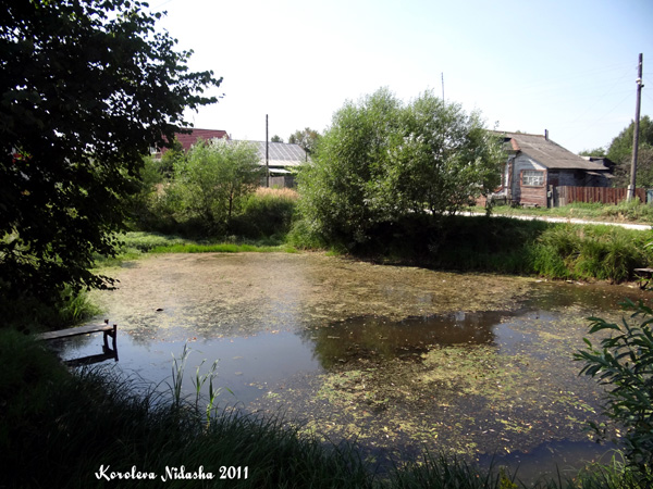 пруд в деревне Берково в Камешковском районе Владимирской области фото vgv