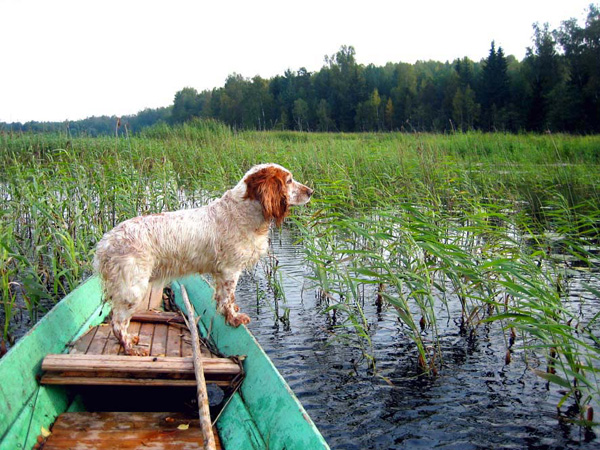 Мельничный пруд - запруда на реке Черной в д. Пирогово в Камешковском районе Владимирской области фото vgv