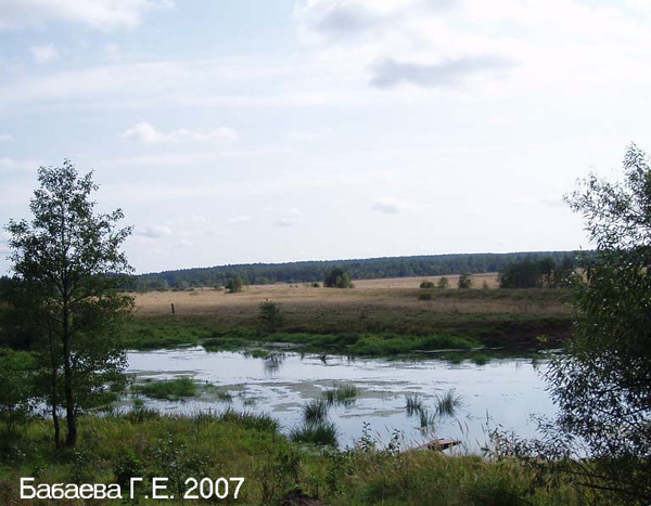 река Шерна  у села Филипповское в Киржачском районе Владимирской области фото vgv
