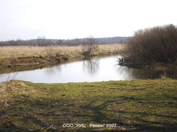 река Шерна у д. Дворищи в Киржачском районе Владимирской области фото vgv