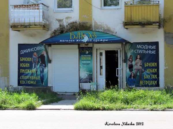 Магазин жеской одежды Блюз в Кольчугинском районе Владимирской области фото vgv