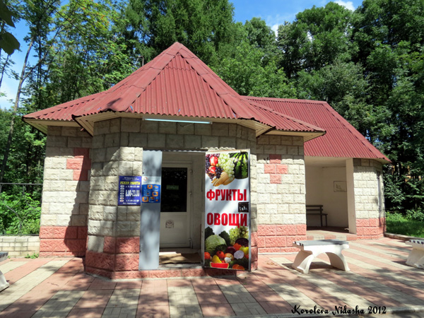 Магазин Продукты на Гагарина 4г в Кольчугинском районе Владимирской области фото vgv