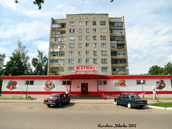 город Кольчугино Гагарина улица 6 в Кольчугинском районе Владимирской области фото vgv