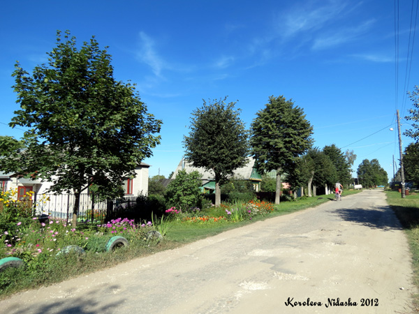 город Кольчугино Чкалова улица в Кольчугинском районе Владимирской области фото vgv