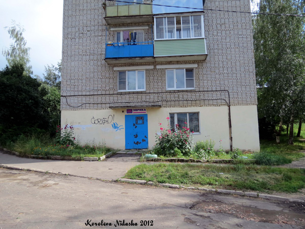 детский клуб Эврика в Кольчугинском районе Владимирской области фото vgv
