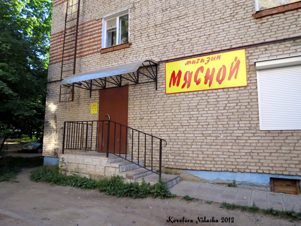 Магазин Мясной на Дружбы 15 в Кольчугинском районе Владимирской области фото vgv