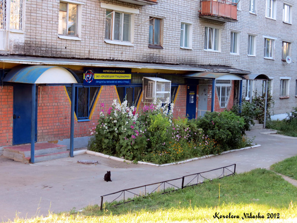 Магазин N 12 (Птицевод) в Кольчугинском районе Владимирской области фото vgv