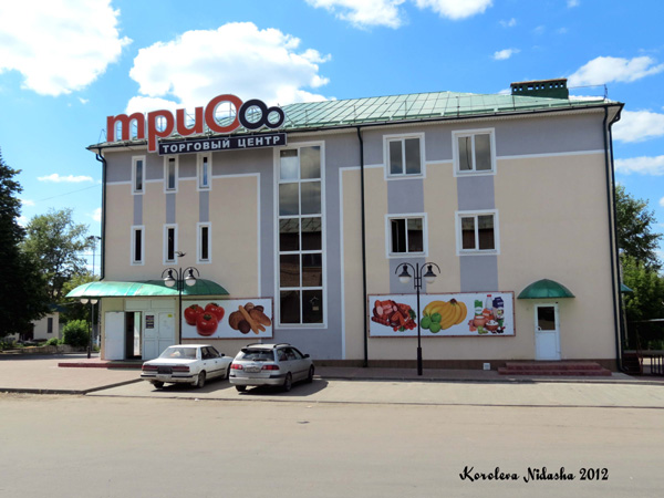 Торговый центр Трио в Кольчугинском районе Владимирской области фото vgv