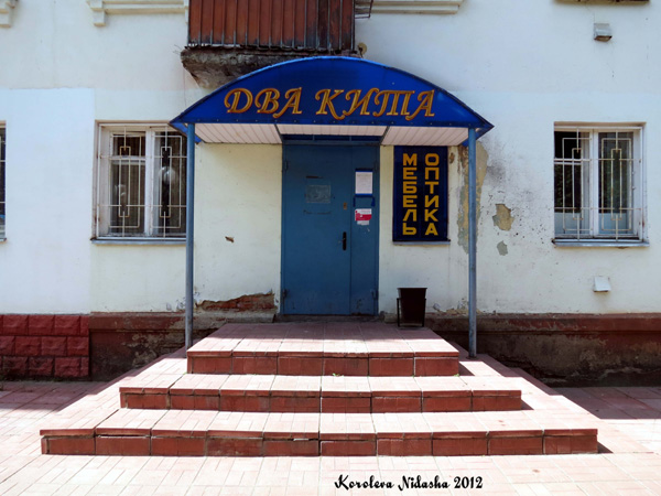 Магазин Два кита - мебель, оптика в Кольчугинском районе Владимирской области фото vgv