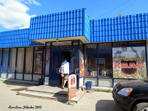 Магазин разливного пива Пивной двор в Кольчугинском районе Владимирской области фото vgv