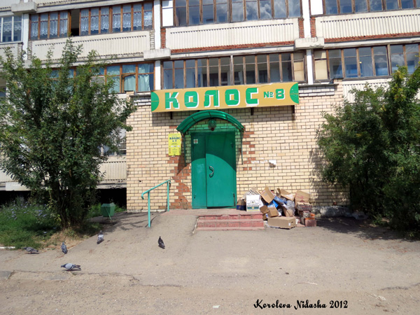 Продуктовый магазин Колос № 8 в Кольчугинском районе Владимирской области фото vgv