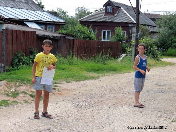 Ребята в Кольчугинском районе Владимирской области фото vgv