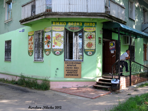 Магазин Ника в Кольчугинском районе Владимирской области фото vgv