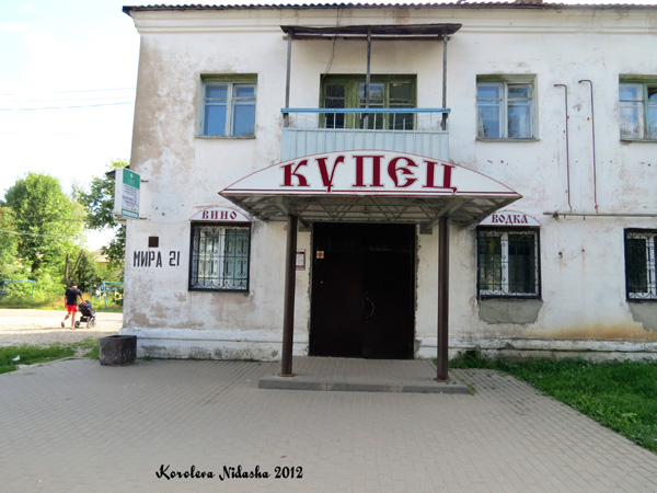 Магазин Купец винный в Кольчугинском районе Владимирской области фото vgv