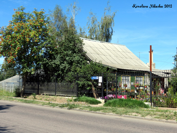 Садовый центр в Кольчугинском районе Владимирской области фото vgv