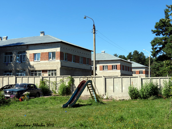 Кольчугинский дом-интернат для умственно отсталых детей в Кольчугинском районе Владимирской области фото vgv