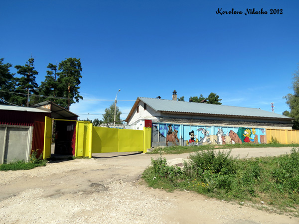 Кольчугинский дом-интернат для умственно отсталых детей в Кольчугинском районе Владимирской области фото vgv