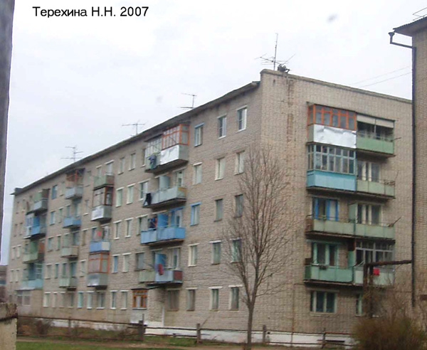 поселок Бавлены Лесная улица 2 в Кольчугинском районе Владимирской области фото vgv