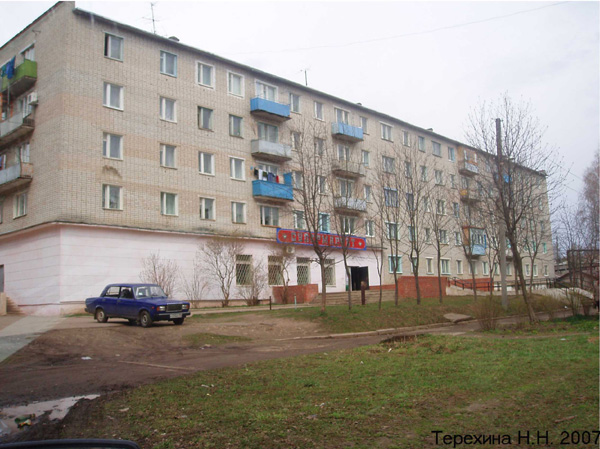 поселок Бавлены Лесная улица 4 в Кольчугинском районе Владимирской области фото vgv