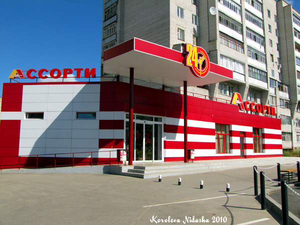 Магазин продуктов Ассорти на Комсомольской 24 в Ковровском районе Владимирской области фото vgv
