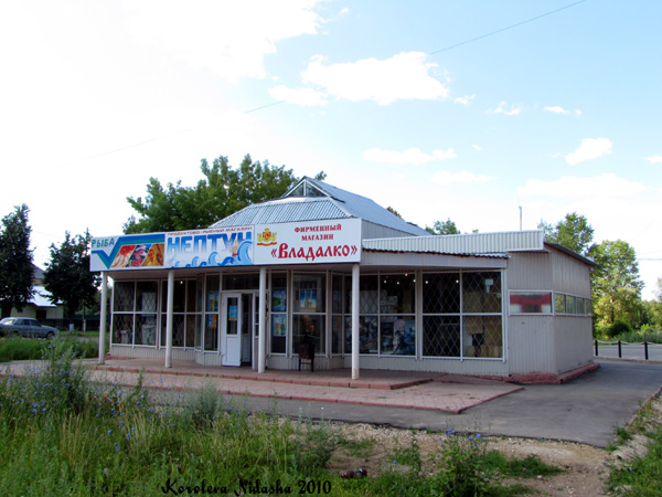 Фирменный магазин ВладАлко в Ковровском районе Владимирской области фото vgv