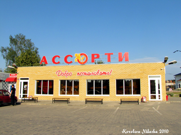 Магазин продуктов Ассорти на Комсомольской 161 в Ковровском районе Владимирской области фото vgv