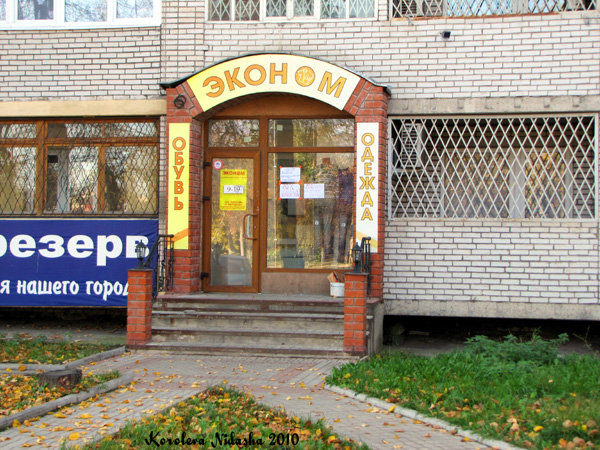 магазин промтоваров Эконом на Ленина 49 в Ковровском районе Владимирской области фото vgv